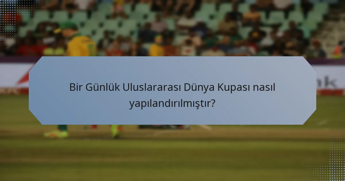Bir Günlük Uluslararası Dünya Kupası nasıl yapılandırılmıştır?
