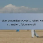 ODI Takım Dinamikleri: Oyuncu rolleri, Koçluk stratejileri, Takım morali