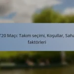 T20 Maçı: Takım seçimi, Koşullar, Saha faktörleri