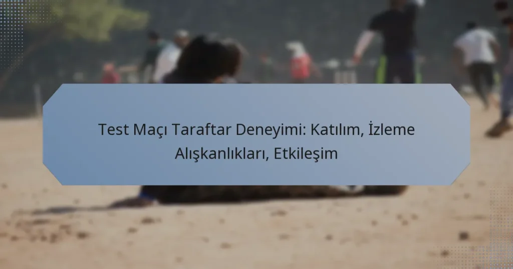 Test Maçı Taraftar Deneyimi: Katılım, İzleme Alışkanlıkları, Etkileşim