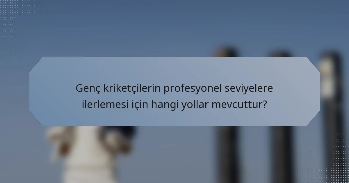 Genç kriketçilerin profesyonel seviyelere ilerlemesi için hangi yollar mevcuttur?